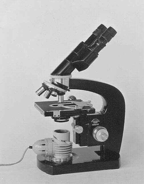 LTG-2.jpg